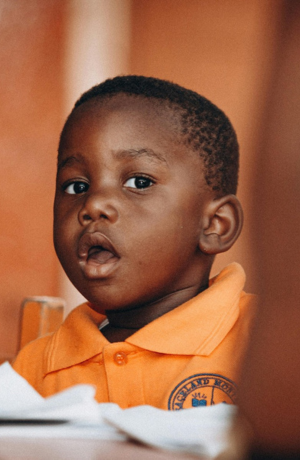 Rapport d'impact 2016