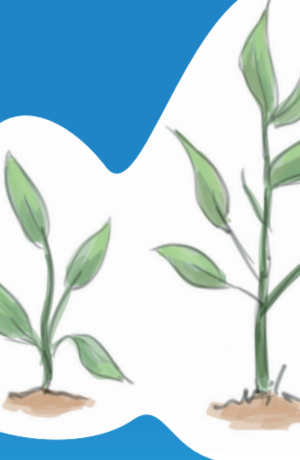 Comment structurer des organisations sensibles aux traumatismes